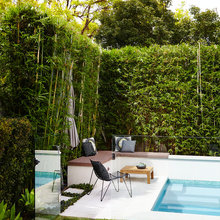 Pool landscaping