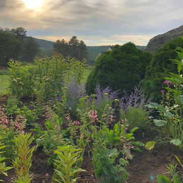Russian Sage and China Asters