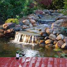 Landscape Ideas