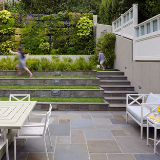Moderner Patio mit Pflanzwand in San Francisco