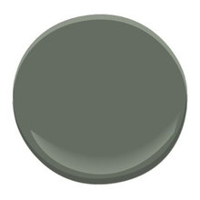 paint color