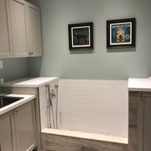 Pet Washing Station