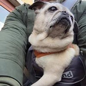 Michael Brown's photo