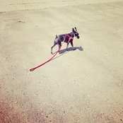 西村尚倫's photo