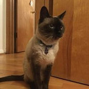 Candace Cane's photo
