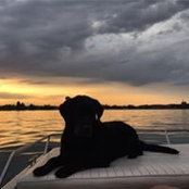 Stefanie Seidler's photo