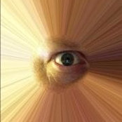 Mark Warner's photo