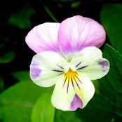 Nancy Bremner's photo