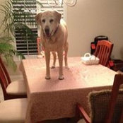Debbie Appel's photo