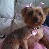 Bobbie Okorowski's photo