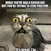 Krissie May's photo