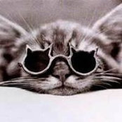 Herveline Cusset's photo