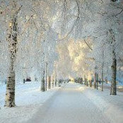 Susan Hennig's photo