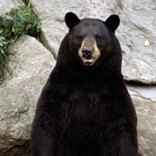 Rob Warburton's photo