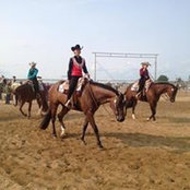 T-Bone Greene's photo