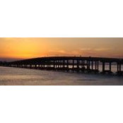 Freddy Tarafa's photo