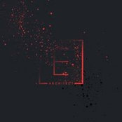 Elvis Nguyen's photo