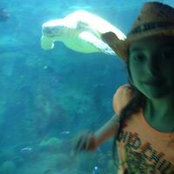 Foto von Sonya Weaver