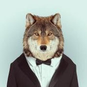 Nick Huppert's photo