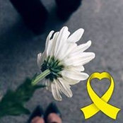 Eva Kim's photo