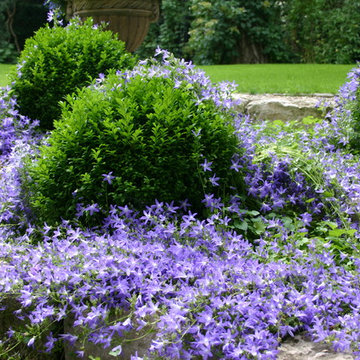 Garten in Blau