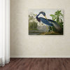 John James Audubon 'Louisiana Heron' Canvas Art, 35x47