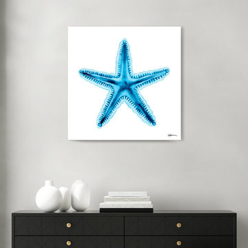 'Ocean Star' Wrapped Canvas Wall Art
