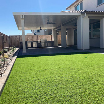 Clean Covered Backyard