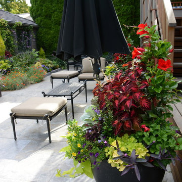 Raised Vegetable Bed / Ornamental Garden 2016