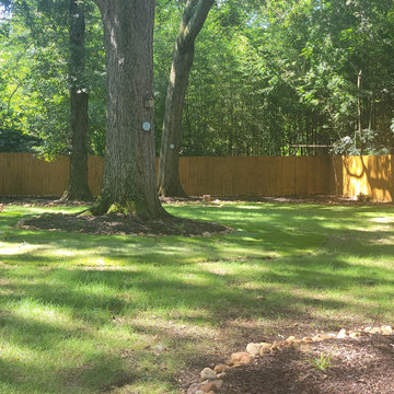 Budget Friendly Backyard Makeover