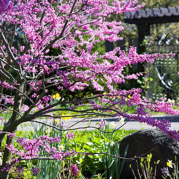 Northbrook, IL Spring Garden