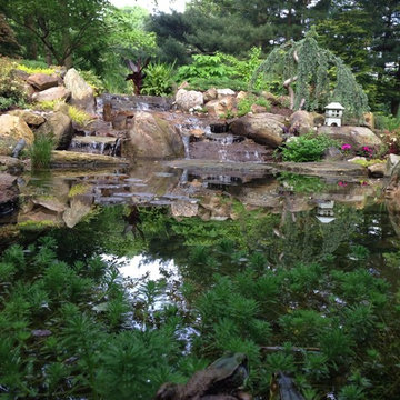 Natural Koi Pond with bridges that you walk across going to the front door.