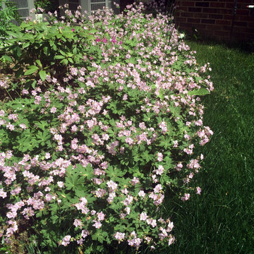 Vienna, VA