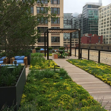 Chicago Shared Roof Deck