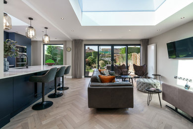 Renovation in Dublin