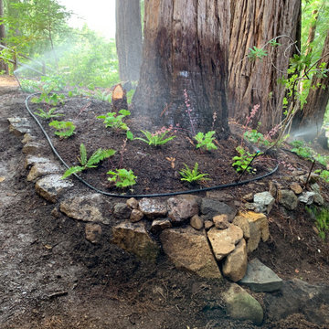 Santa Cruz Mountain Elevation
