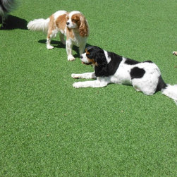 Pet Turf - Products