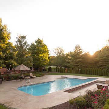 freeform beach entry with lap lane gunite pool