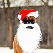 Deborah Rocchio's photo