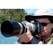 Susan Travis's photo