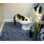 Leigh Sink's photo