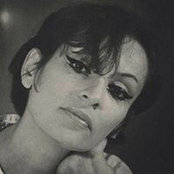 Alain Verts foto