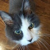 Rochelle Sutton's photo