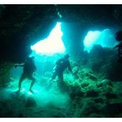 Luke Morgan's photo