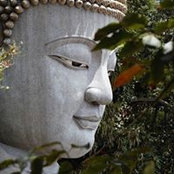 Joshua Ong's photo
