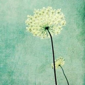 Emanuela's photo