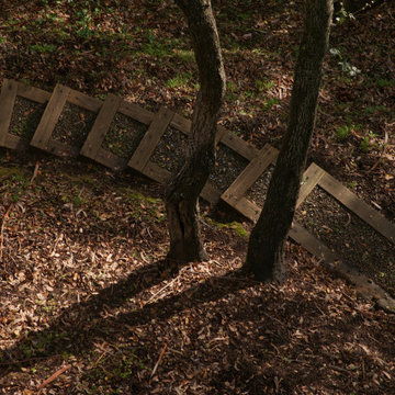 Woodland Rustic