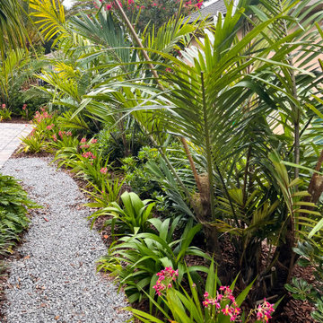 Pablo Bay Modern Tropical Garden