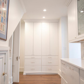 1837 Revival: Davidson Historic District