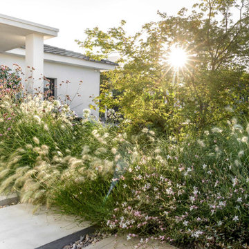 Modernité en Provence